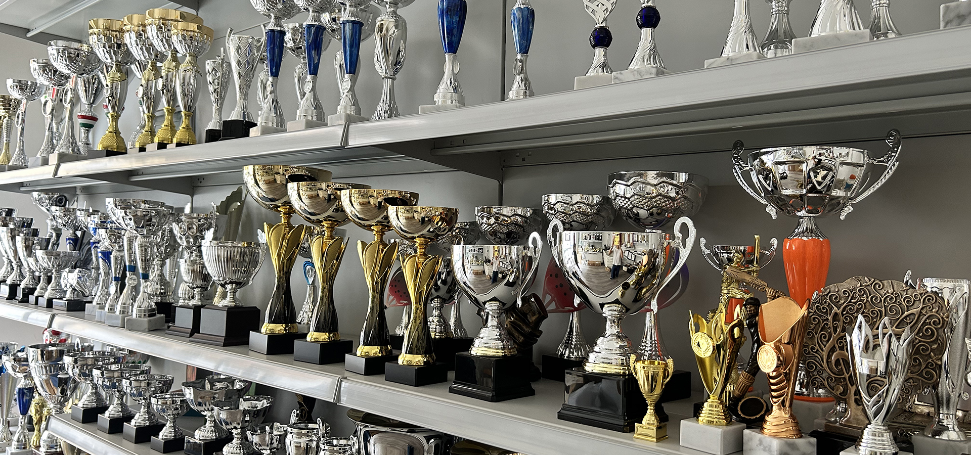 allcups05
