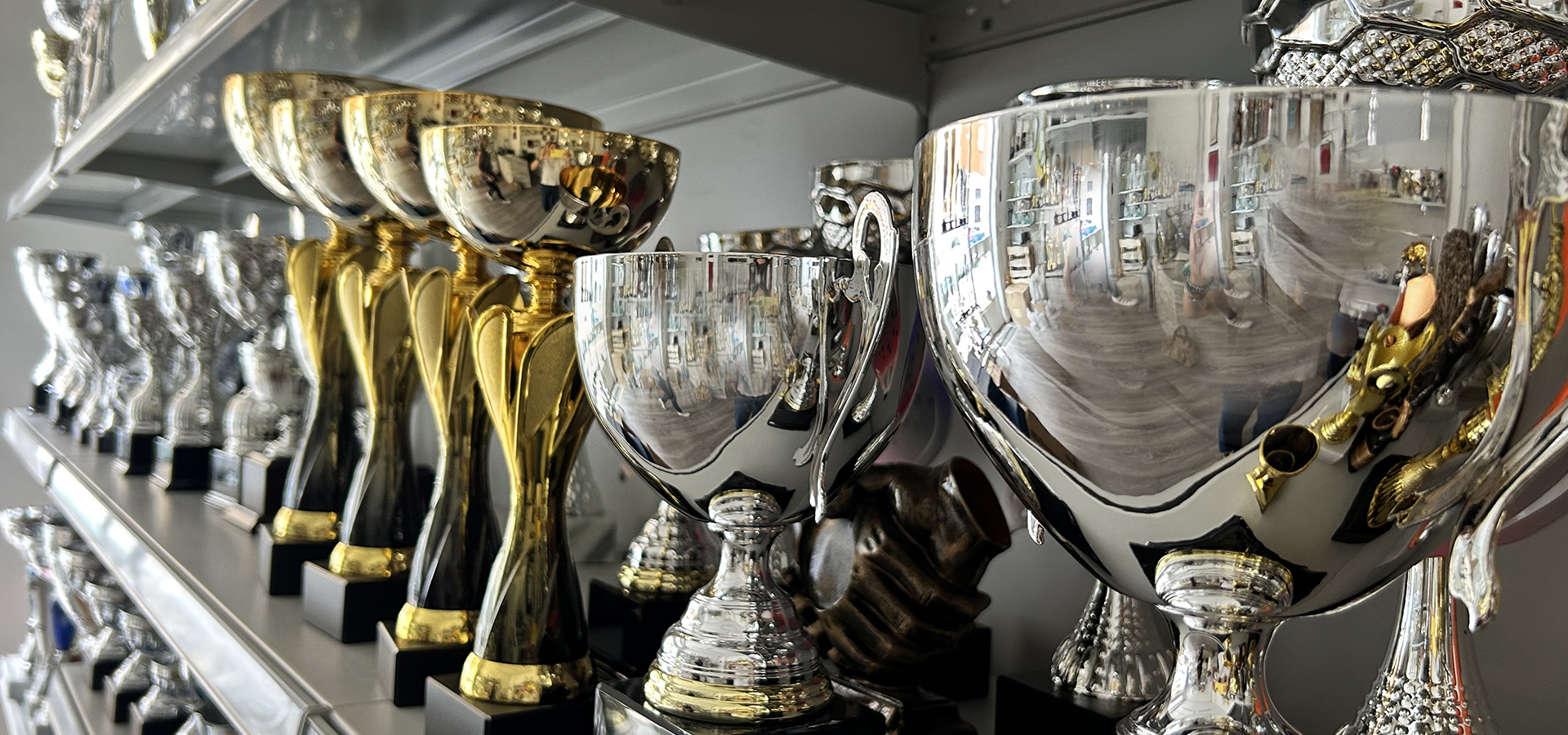allcups08